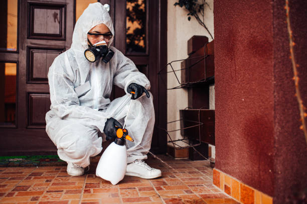 Reliable Ant Control contractor in Mesa, AZ by Nex Pest Control